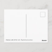 Andenhahn Postkarte (Rückseite)