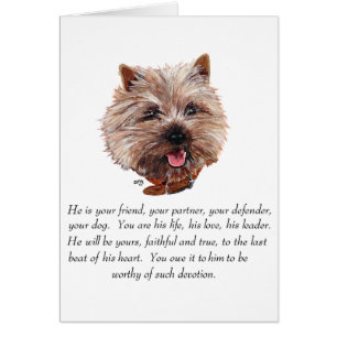 Andenken Cairn Terrier - Männlich