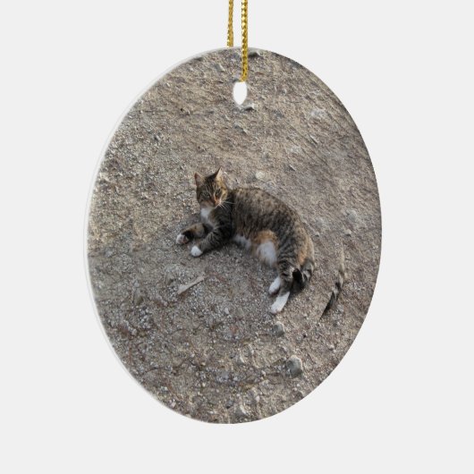 Andenken-Verzierung: Tabby-Katze mit weißen Füßen Keramik Ornament (Rechts)