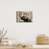 Andenkondor auf Gras Poster (Küche)