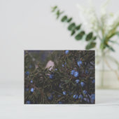 "Andere blaue Welten" Postkarte (Stehend Vorderseite)
