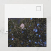 "Andere blaue Welten" Postkarte (Vorne/Hinten)