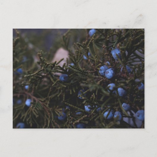 "Andere blaue Welten" Postkarte (Vorderseite)