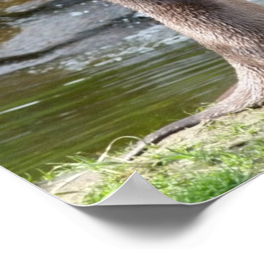 Andere durch einen Wasserfall Poster (Ecke)