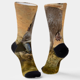 Andere essen einen Fisch, Crew Socken