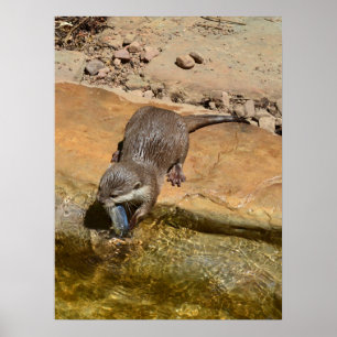 Andere essen Fisch nach Teich, Poster