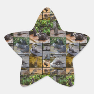 Andere Foto Collage Star Sticker. Stern-Aufkleber