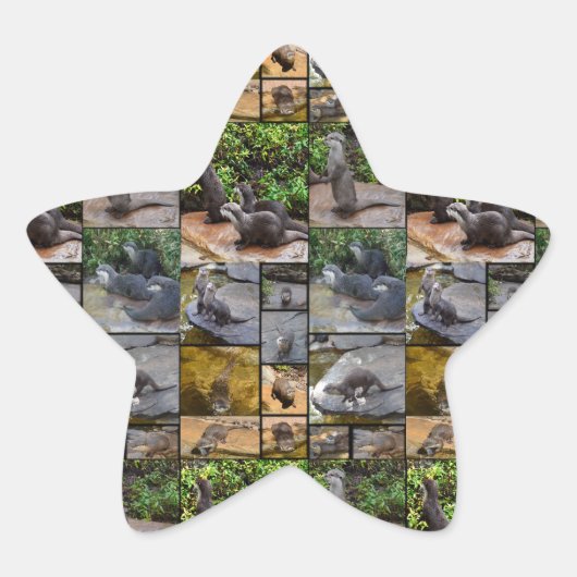 Andere Foto Collage Star Sticker. Stern-Aufkleber (Vorderseite)