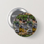 Andere FotoCollage, Button (Vorne & Hinten)