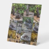 Andere FotoCollage, Sockelschild (Vorderseite)