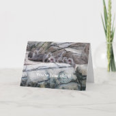 Andere Geburtstagskarten Karte (Vorderseite)