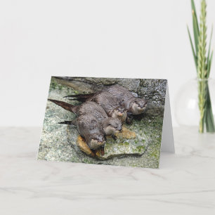 Andere Grußkarte 4 in Folge Karte