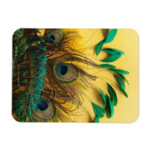 Andere Peacock Feathers Magnet (Horizontal)