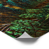 Andere Peacock Feathers Poster (Ecke)