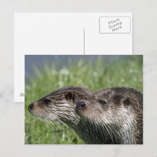 Andere Postkarten (Vorne/Hinten)