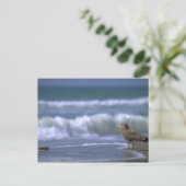 andere Seite des Meeres Postkarte (Stehend Vorderseite)