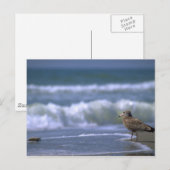 andere Seite des Meeres Postkarte (Vorne/Hinten)