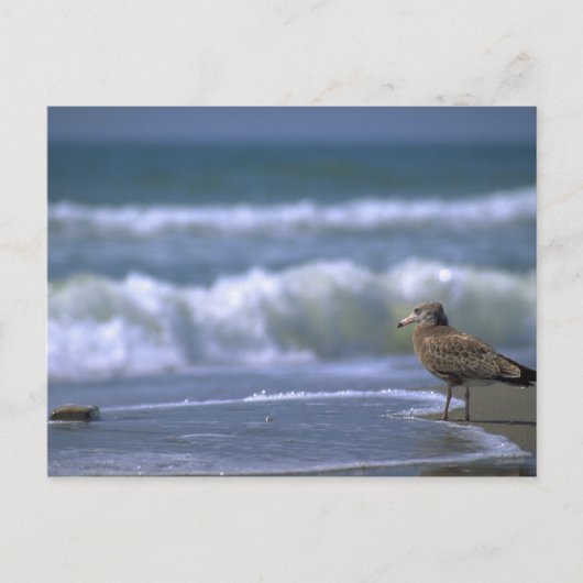 andere Seite des Meeres Postkarte (Vorderseite)