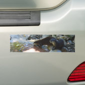 Andere trinken, Autoaufkleber (Auf Auto)