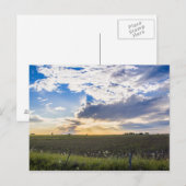 Anderer Sonnenuntergang Postkarte (Vorne/Hinten)