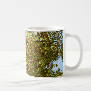 Ändern der Farbe von Ahornbaum Grün und Gold Kaffeetasse