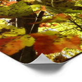 Ändern der Farbe von Ahornbaum Grün und Gold Poster (Ecke)