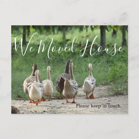 Ändern des Adressspendenzen Fotos Benutzerdefinier Postkarte (Vorderseite)