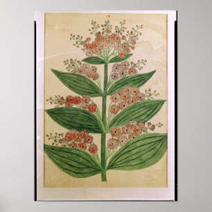 Andern mit imaginären Blume Poster