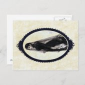 Anders Zorn, die Widow-Postkarte Postkarte (Vorne/Hinten)