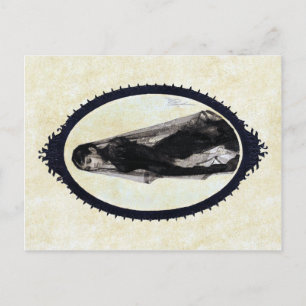 Anders Zorn, die Widow-Postkarte Postkarte