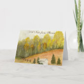 Anderson's Field (Vorderseite)