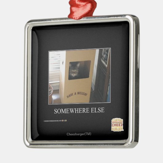 Anderswo Silbernes Ornament (Links)