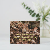 Änderung der Adresse Chipmunk-Postkarte Ankündigungspostkarte (Stehend Vorderseite)
