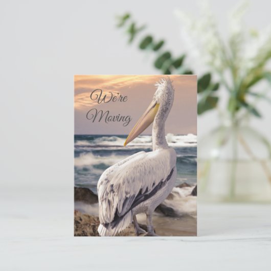 Änderung der Adresse des Pelican Ocean Beach Postkarte (Stehend Vorderseite)