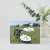 Änderung der Adresse, die wir die Kuh übertragen h Postkarte (Stehend Vorderseite)