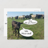 Änderung der Adresse, die wir die Kuh übertragen h Postkarte (Vorne/Hinten)