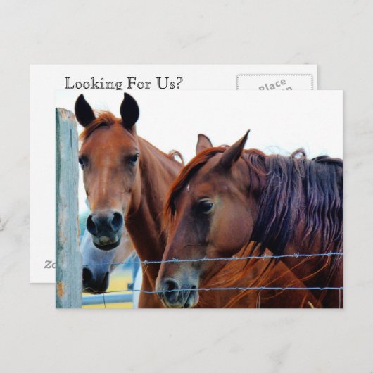 Änderung der Adresskarte Ankündigungspostkarte (Vorne/Hinten)