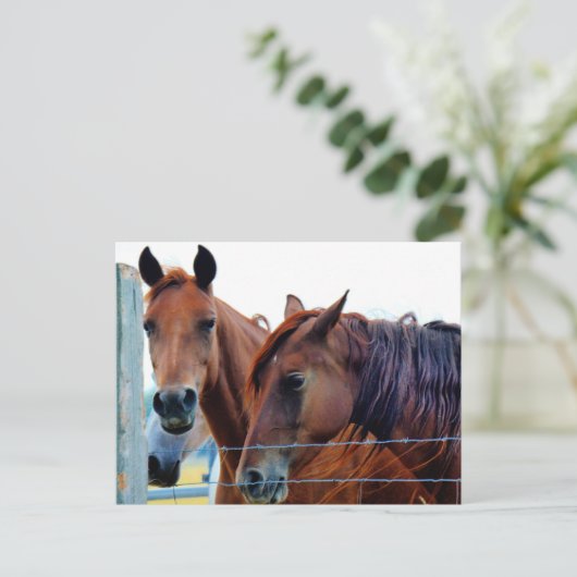 Änderung der Adresskarte Ankündigungspostkarte (Stehend Vorderseite)