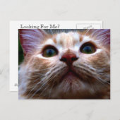 Änderung der Adresskarte Ankündigungspostkarte (Vorne/Hinten)