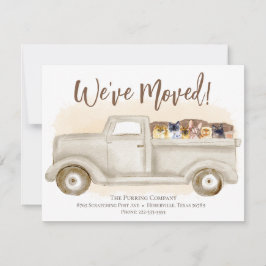 Änderung der Anschrift, Katzen, Ankündigung des Lk