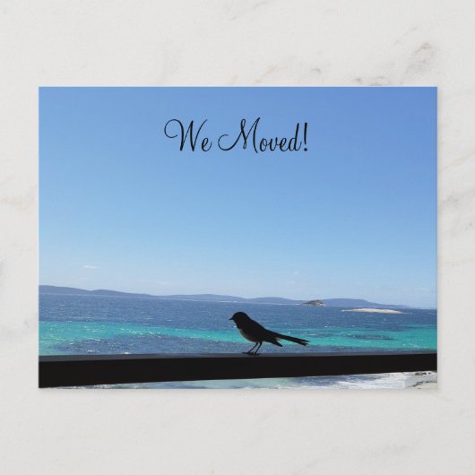 Änderung der Details kleiner Vogel Postkarte (Vorderseite)