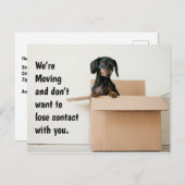 Änderung der niedlichen Dackel Postkarte (Vorne/Hinten)