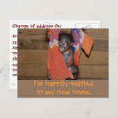 Änderung der niedlichen neuen Zuhause-Adresse Ankündigungspostkarte (Vorne/Hinten)