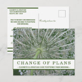 Änderung der Pläne Königin Anne's Spitzen-Blume Po Postkarte (Vorne/Hinten)