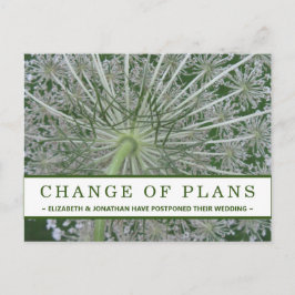 Änderung der Pläne Königin Anne's Spitzen-Blume Po Postkarte