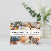 Änderung der Pläne Muscheln & Driftwood-Postkarte Postkarte (Stehend Vorderseite)