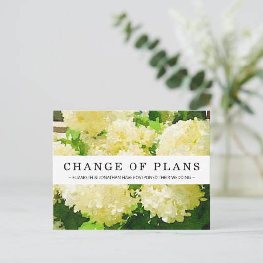 Änderung der Pläne Weiße Annabelle Hydrangea Postk Postkarte (Stehend Vorderseite)