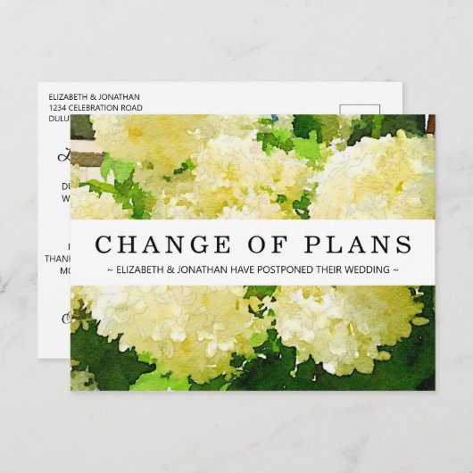 Änderung der Pläne Weiße Annabelle Hydrangea Postk Postkarte (Vorne/Hinten)