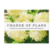 Änderung der Pläne Weiße Annabelle Hydrangea Postk