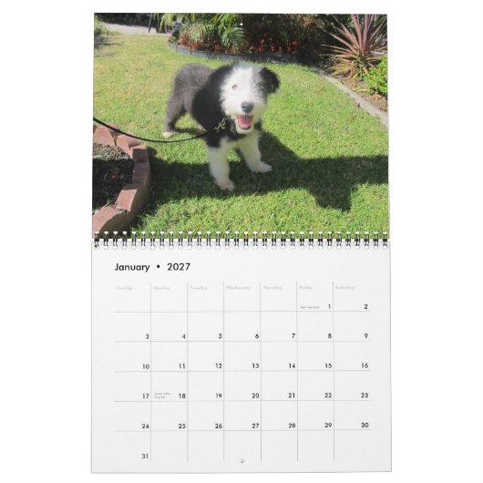 Änderung Welpen-Juni-2012 Kalender (Jan 2027)